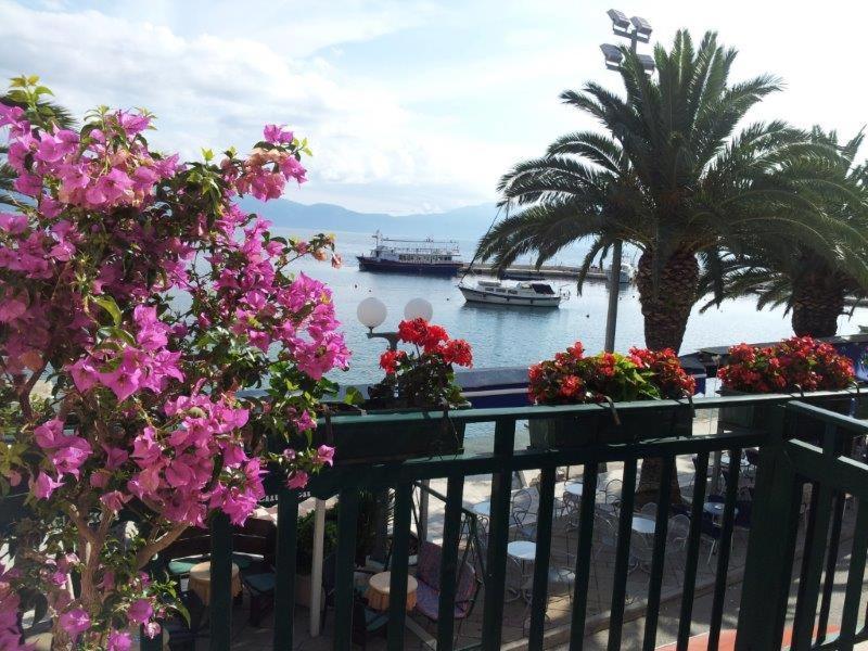 Apartman Iris Gradac  Dış mekan fotoğraf